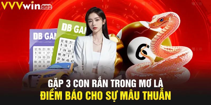 Gặp 3 con rắn trong mơ là điềm báo cho sự mâu thuẫn Gặp 3 con rắn trong mơ là điềm báo cho sự mâu thuẫn
