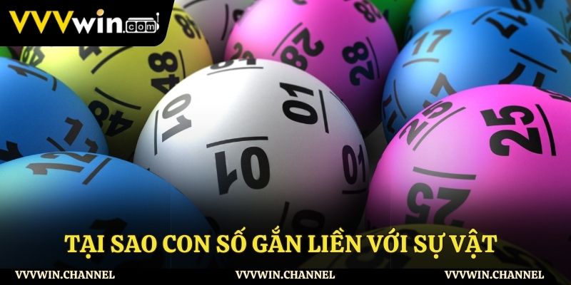 Tại sao con số gắn liền với sự vật? 